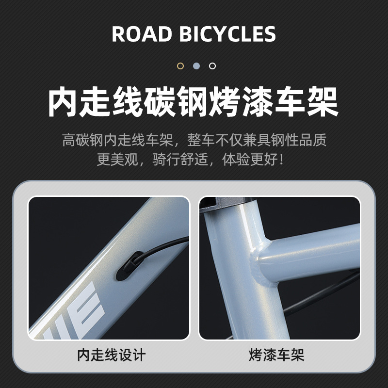 Variable Speed Road Bike Inter - Cycling Commute Speed recensione e prezzo